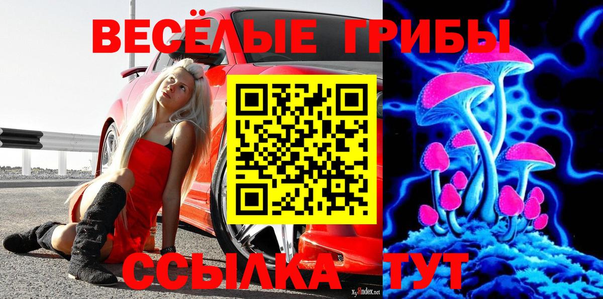 Псилоцибиновые грибы мицелий  Галлюциногенные грибы ЛСД  Назрань  Вход с VPN 